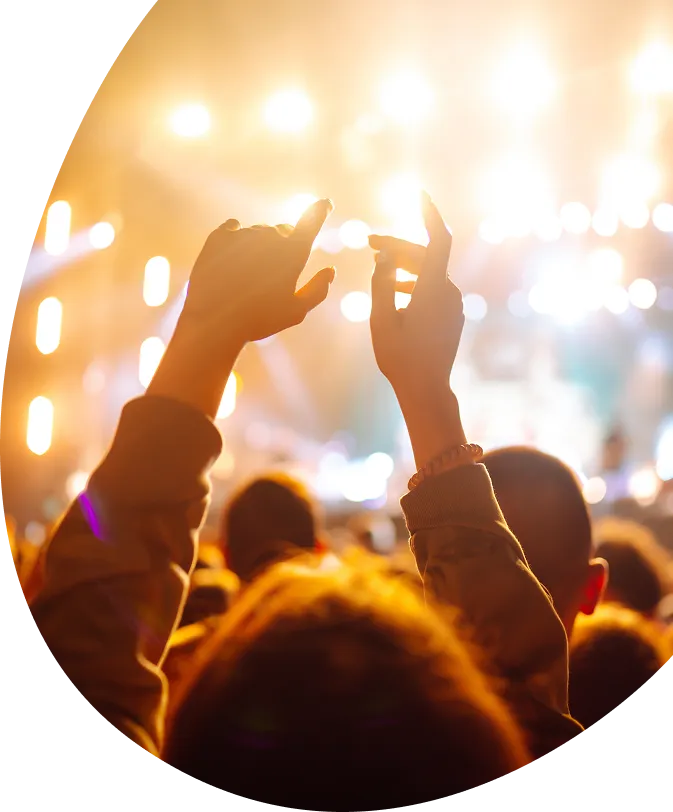 Concert crowd